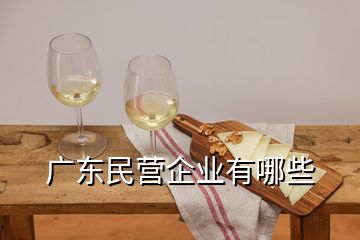 广东民营企业有哪些