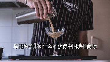 阜阳种子集团什么酒获得中国驰名商标