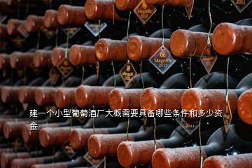 建一个小型葡萄酒厂大概需要具备哪些条件和多少资金