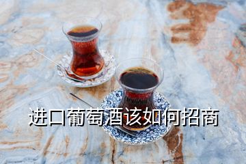 进口葡萄酒该如何招商