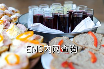 EMS内网查询