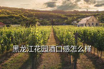 黑龙江花园酒口感怎么样