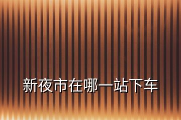 新夜市在哪一站下车