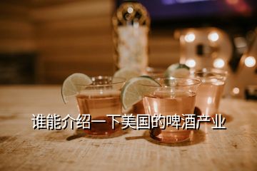 谁能介绍一下美国的啤酒产业