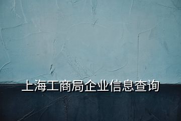 上海工商局企业信息查询