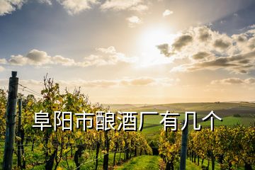 阜阳市酿酒厂有几个