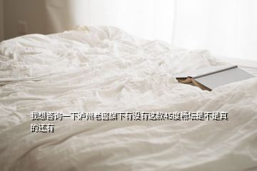 我想咨询一下泸州老窖旗下有没有这款45度畅坛是不是真的还有