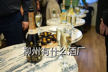 柳州有什么酒厂