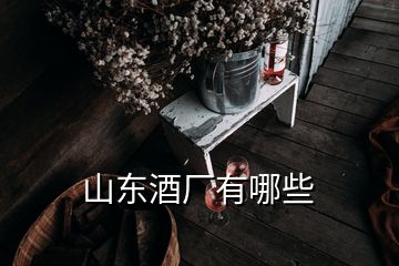 山东酒厂有哪些