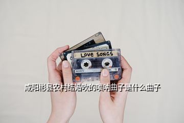 咸阳彬县农村结婚吹的唢呐曲子是什么曲子