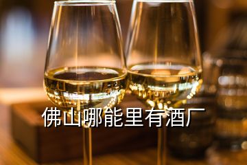 佛山哪能里有酒厂