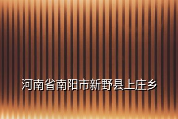 河南省南阳市新野县上庄乡