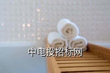 中电投招标网