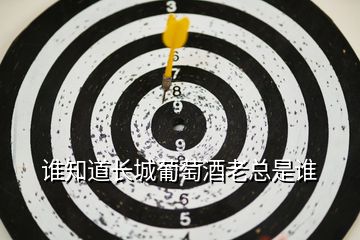 谁知道长城葡萄酒老总是谁