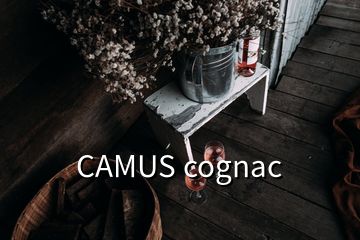 CAMUS cognac