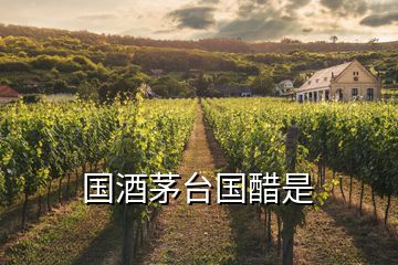 国酒茅台国醋是