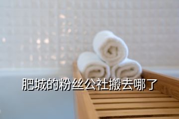 肥城的粉丝公社搬去哪了