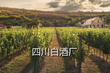 四川白酒厂