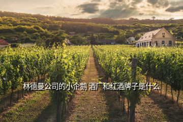 林德曼公司的小企鹅 酒厂和红酒牌子是什么