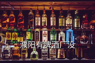 濮阳有啤酒厂没