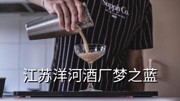 江苏洋河酒厂梦之蓝