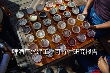 啤酒厂兴建工程可行性研究报告