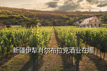 新疆伊犁肖尔布拉克酒业在哪