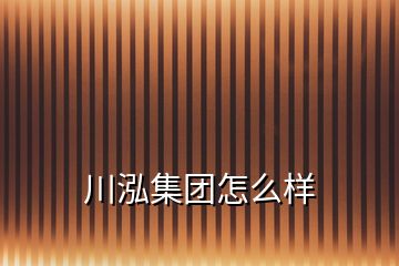 川泓集团怎么样