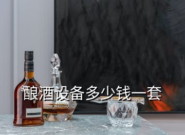 酿酒设备多少钱一套