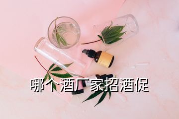 哪个酒厂家招酒促