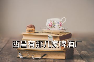 西昌有那几家啤酒厂