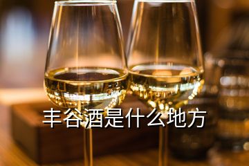 丰谷酒是什么地方