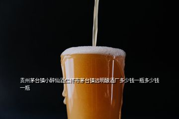 贵州茅台镇小醉仙酒仁怀市茅台镇远明酿酒厂多少钱一瓶多少钱一瓶