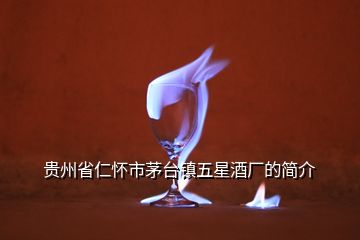 贵州省仁怀市茅台镇五星酒厂的简介