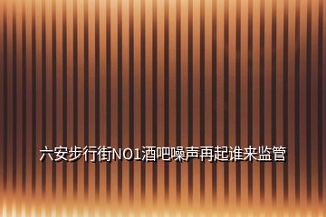 六安步行街NO1酒吧噪声再起谁来监管