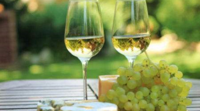 白葡萄酒怎么喝？白葡萄酒和红葡萄酒的区别是什么
