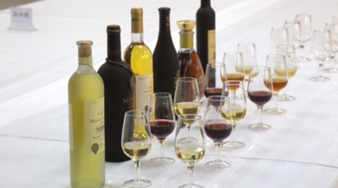 世界著名的红酒产地有哪些？影响葡萄酒质量的因素有哪些？