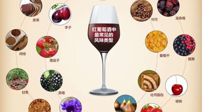 怎样才算好的红酒？常见的葡萄酒风味有哪些？