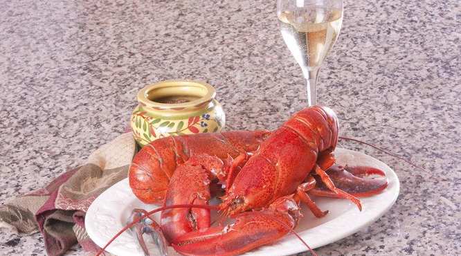吃虾能喝红酒吗？龙虾和葡萄酒如何搭配？