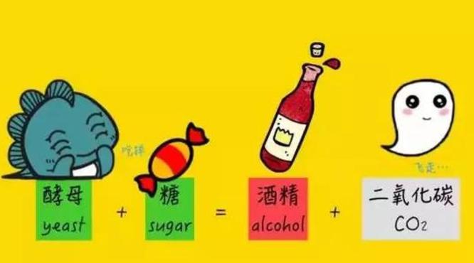 红酒多少度？是什么影响红酒的度数？