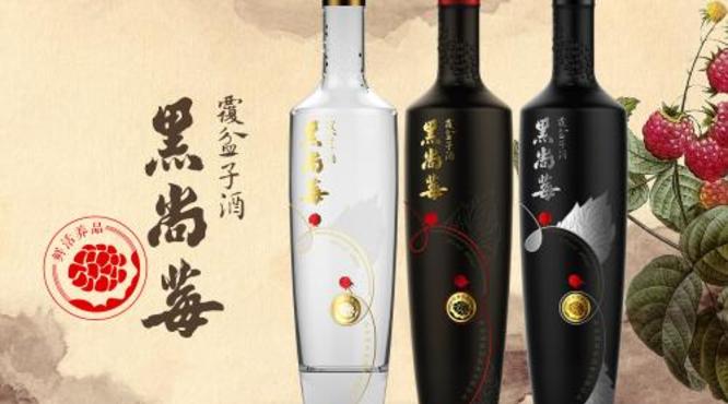 中国果酒科技峰会：黑尚莓公布“中国果酒TOP ONE”榜单