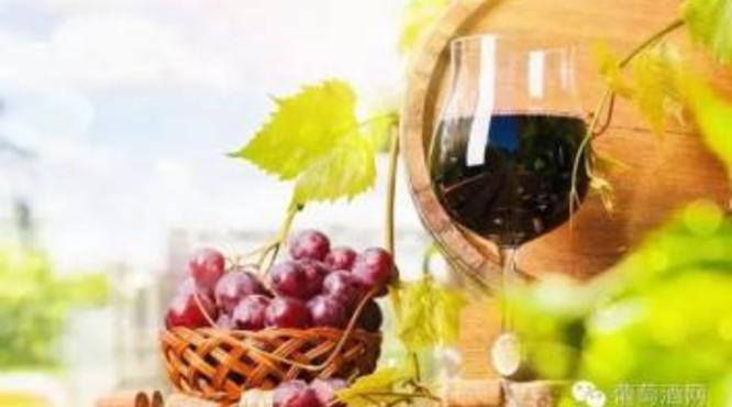 红酒有涩味是什么原因？什么葡萄酒单宁含量比较高？