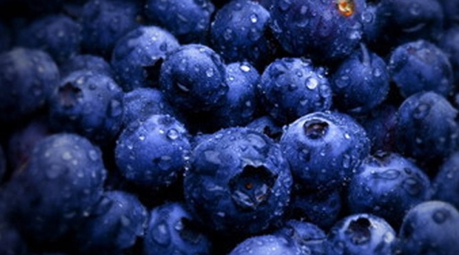 蓝莓酒可以存放多久？蓝莓酒保质期多久？