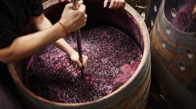 在家怎样酿造葡萄酒