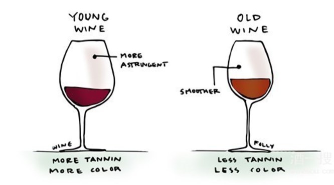 红葡萄酒中的单宁是什么
