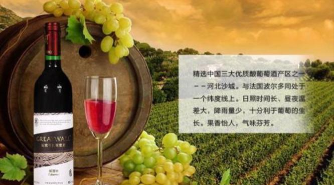 葡萄酒赤霞珠和解百纳