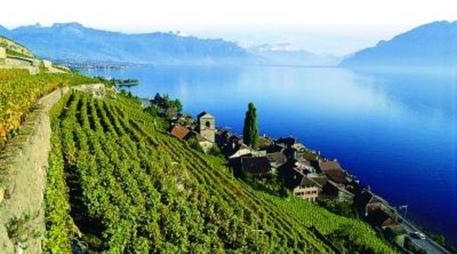 瑞士葡萄酒怎么样？瑞士葡萄酒有哪些产区？