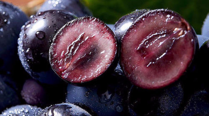 黑加仑酿酒方法，可贮存4-5年的果子酒