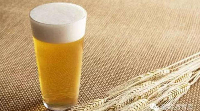 白啤酒和黄啤酒有什么区别