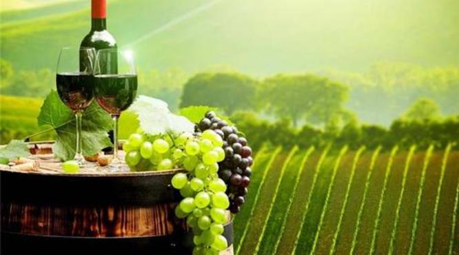 法国葡萄酒种植的有利条件